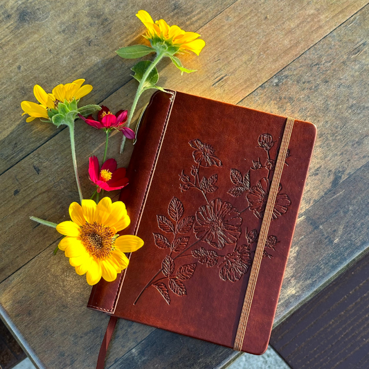 Walking Towards Wellness: The Powerful Duo of Daily Walks and Journaling