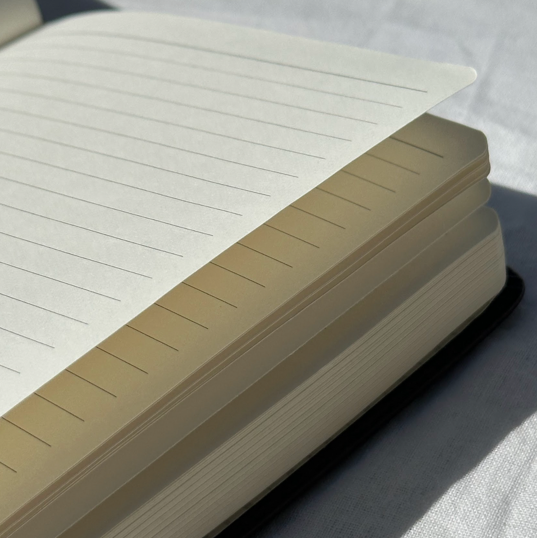 Choosing the Right Journal: Lined, Dotted, Grid, or Blank?